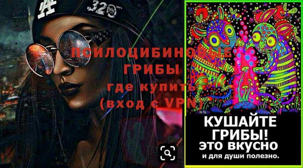 ГАЛЛЮЦИНОГЕННЫЕ ГРИБЫ Верея