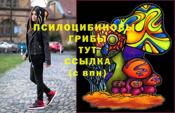 ГАЛЛЮЦИНОГЕННЫЕ ГРИБЫ Верея