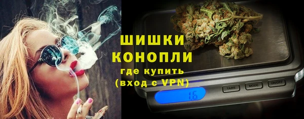 ГАЛЛЮЦИНОГЕННЫЕ ГРИБЫ Верея