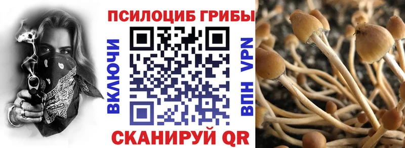 Псилоцибиновые грибы Psilocybine cubensis где купить Зуевка
